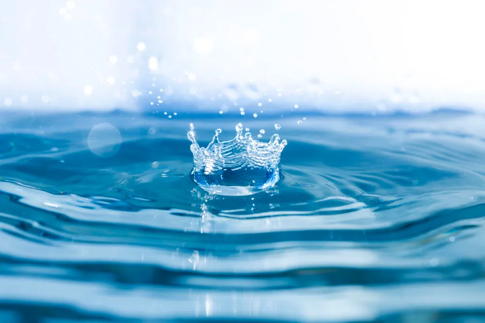 Impermeabilização de caixas d’água - RJ // Dedetizadora RJ