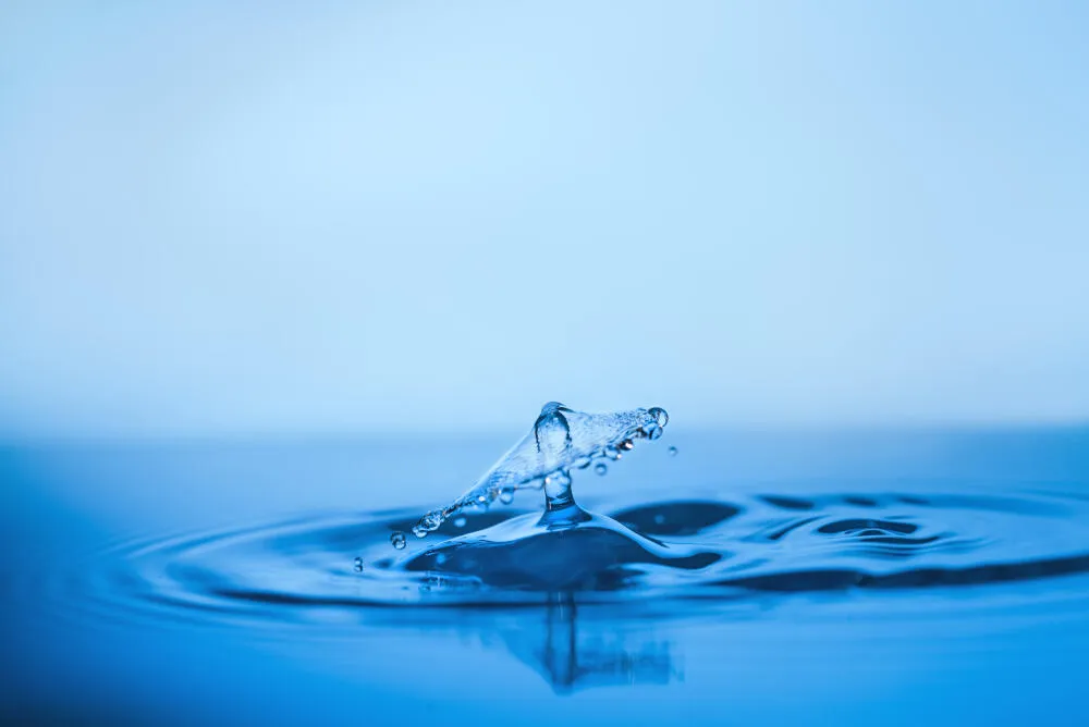 Limpeza de caixas d’água - Rio de Janeiro // Dedetizadora RJ