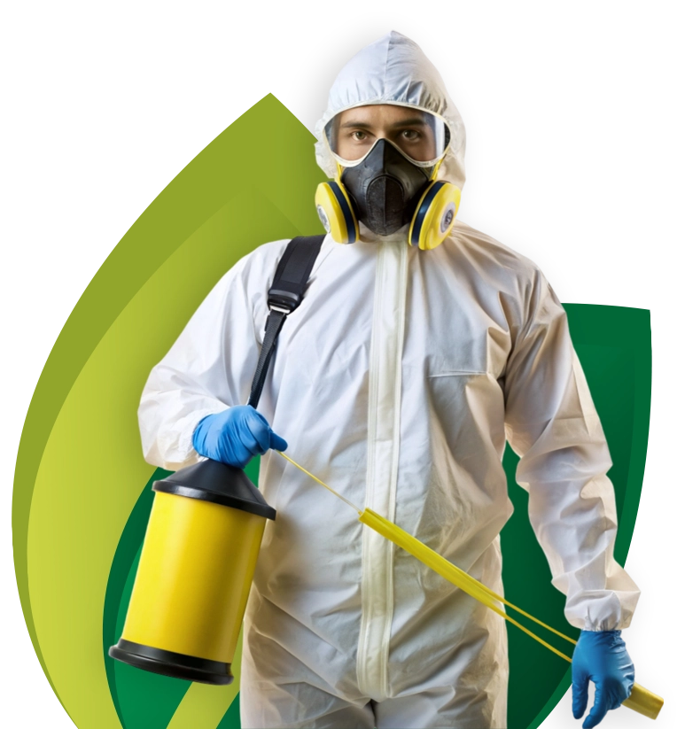 Renascer Ambiental - Rio de Janeiro // Dedetizadora RJ