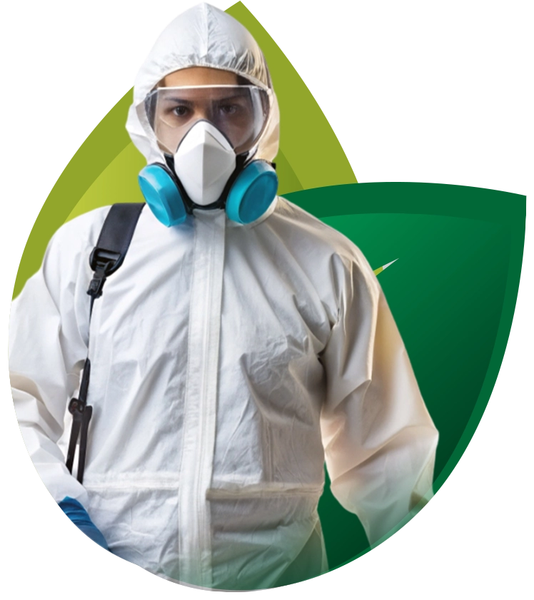 Renascer Ambiental - Rio de Janeiro // Dedetizadora RJ