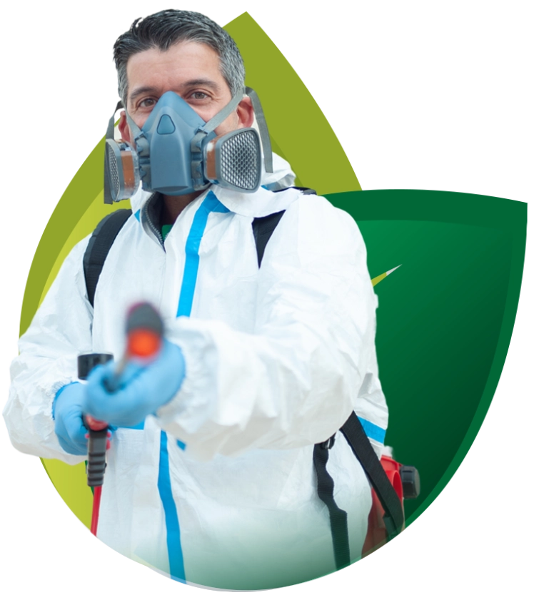 Renascer Ambiental - Rio de Janeiro // Dedetizadora RJ