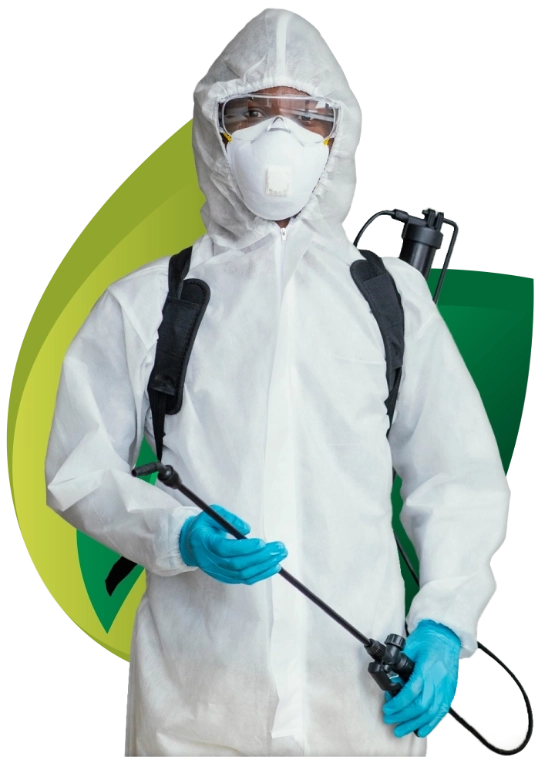 Renascer Ambiental - Rio de Janeiro // Dedetizadora RJ